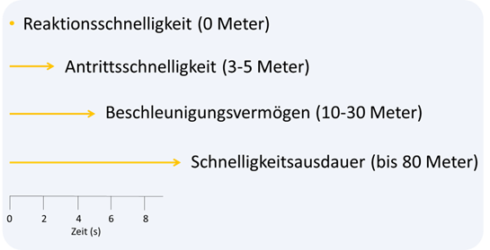Kurs 1 – Modul 8 – Lektion 1